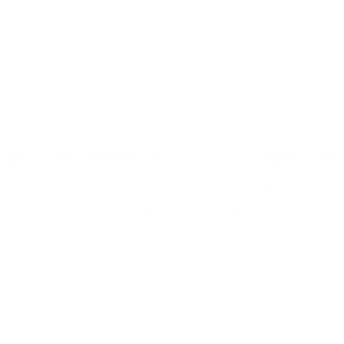 Quantum Travel